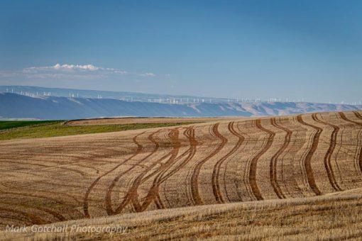 Looking at wind turbines in Washington, from the Columbia Plateau near Dufur, Oregon