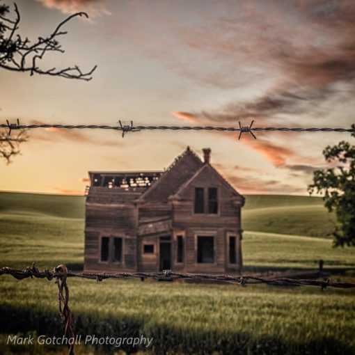 Fenced out of the abandoned house.