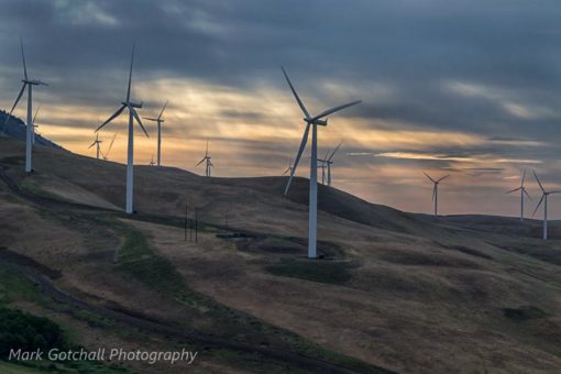 Wind Turbines at Maryhill, Washington