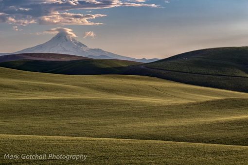 Lenticular clouds form over Mt Hood.