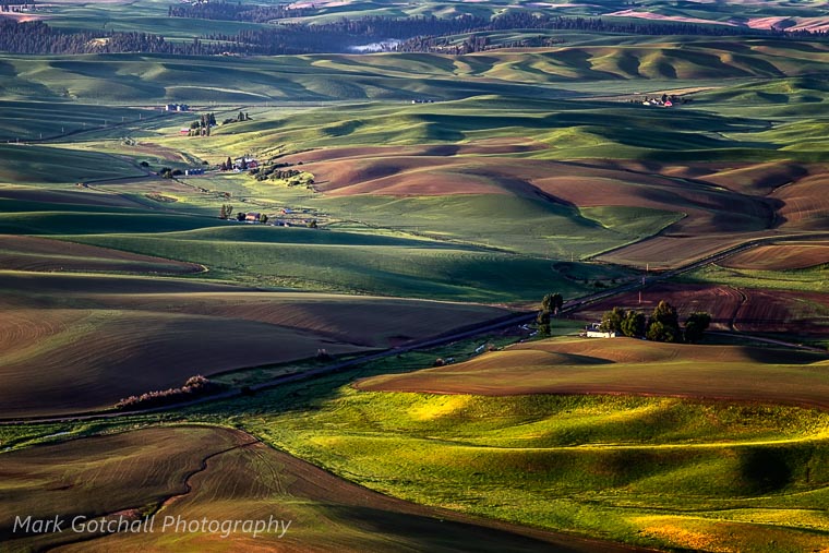 Sunrise view from Steptoe Butte