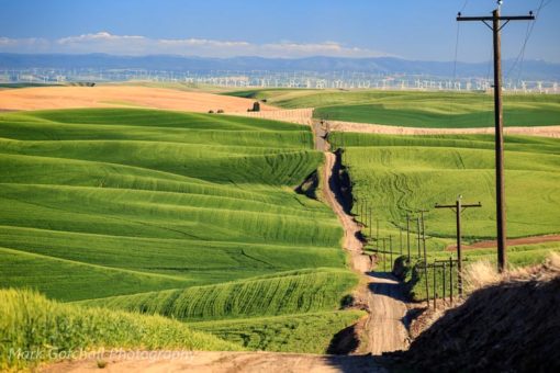 Take a left on that road Dave, lets see what the view is.