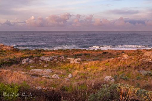 Ocean View from Gerstle Cove