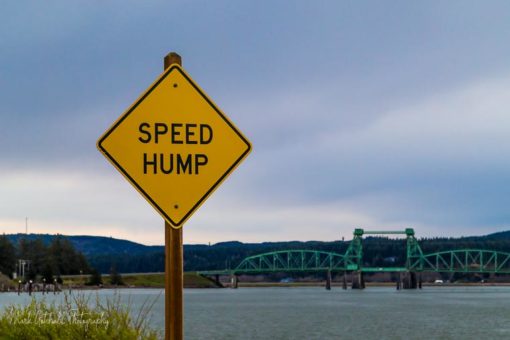 Speed Hump, how do you live your life?