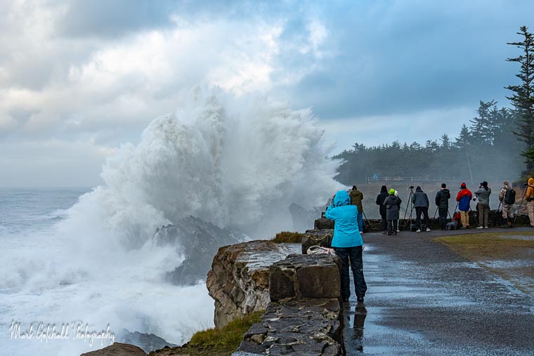 Photographers line up to shoot the crashing surf and huge waves at Shore Acres State Park
