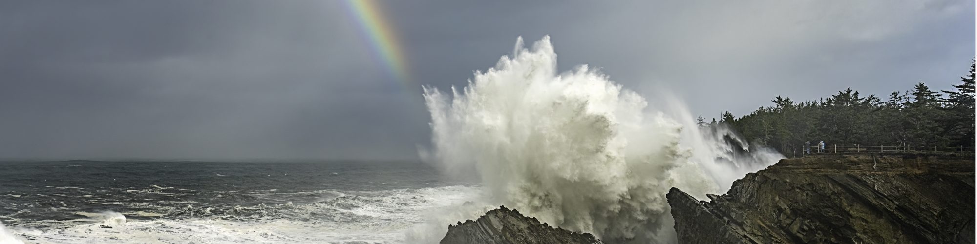 High Waves at Shore Acres State Park