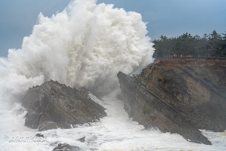 Photograph of huge waves breaking at Shore Acres State Park