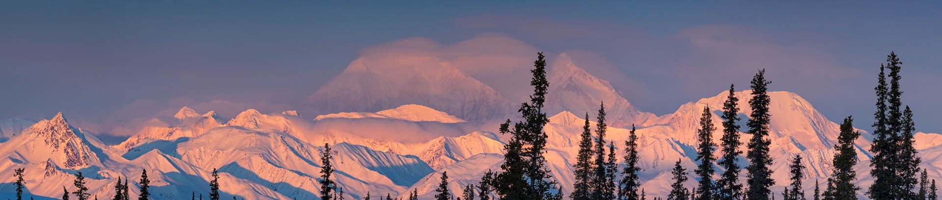 Alaska Galley Header Image