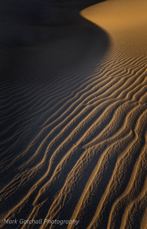 Mesquite Dunes in the morning near Stovepipe Wells Mesquite Dunes in the morning near Stovepipe Wells