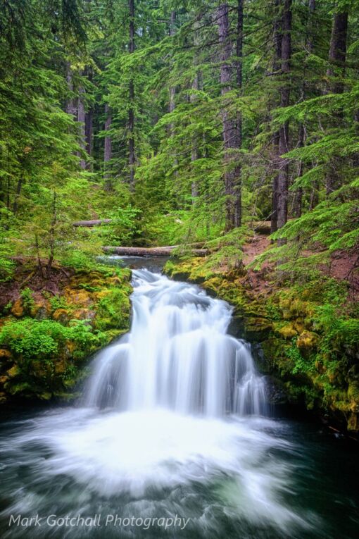 Clearwater Falls; off the Umpqua River Highway