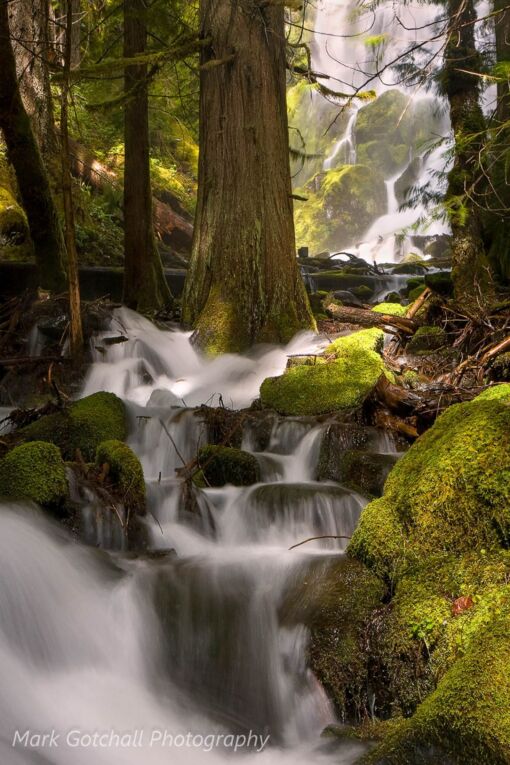 Moon Falls in the Willamette National Forest