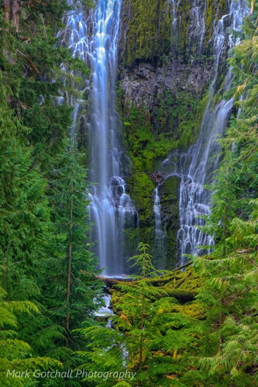 Proxy Falls 1; in the Three Sisters Wilderness