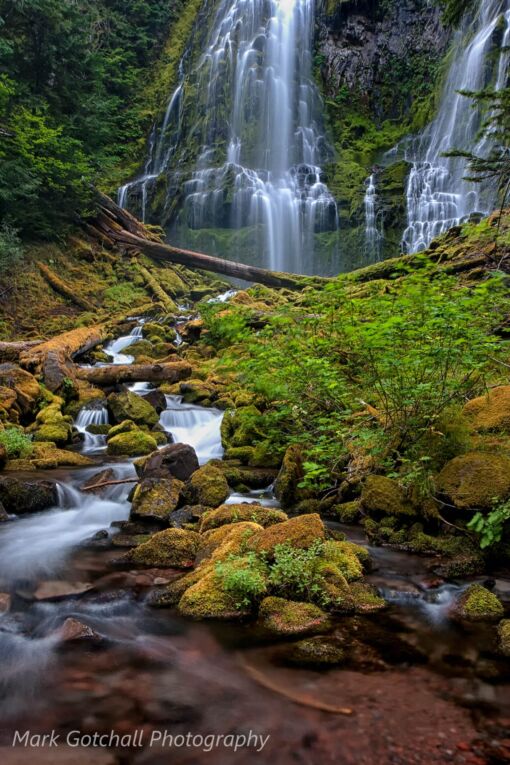 Proxy Falls 2; image taken in the Three Sister Wilderness