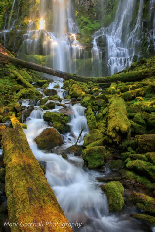 Proxy Falls 4; image taken in the Willamette National Forest