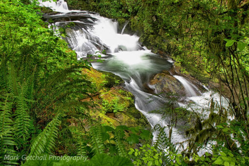 Sweet Creek 1; image taken near Mapleton, Oregon Sweet Creek 1; image taken near Mapleton, Oregon