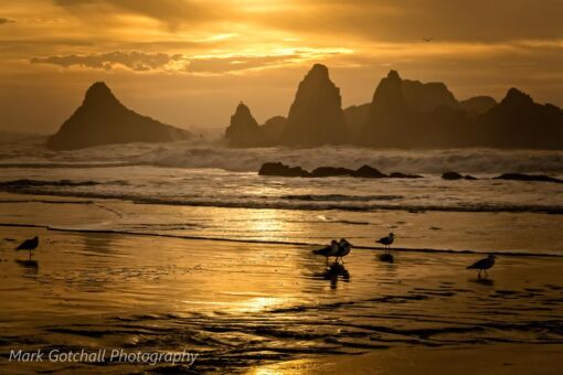 Foggy Sunset at Seal Rock State Park