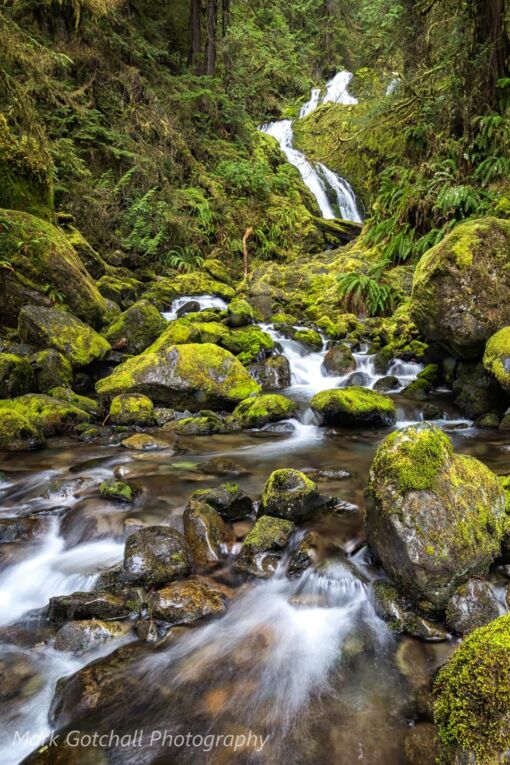 Bunch Creek Falls, Olympic National Park
