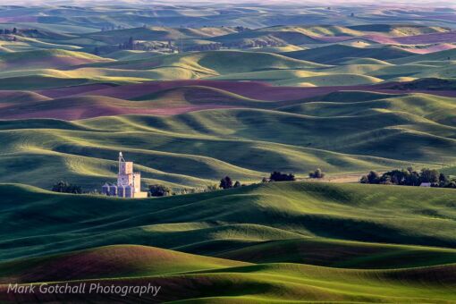 Whitman County Growers grain silos, as seen from Steptoe Butte.