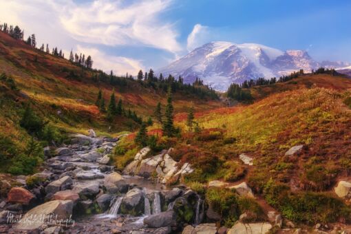 Autumn at Edith Creek in Mt Rainier National Park