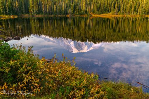Reflection of Mt Rainier in Reflection Lake