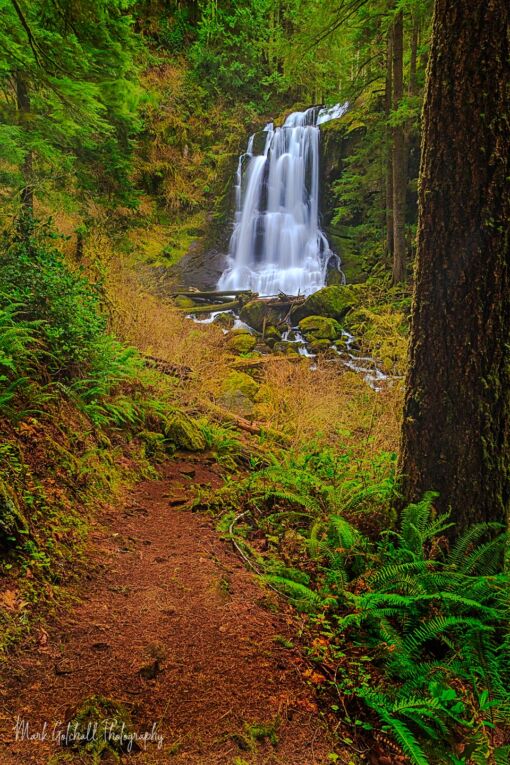 Trail to the Falls, Kentucky Falls