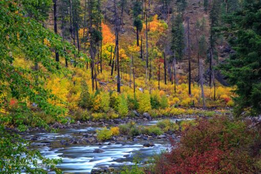 Tumwater Canyon Fall colors along the Wenatchee River in Tumwater Canyon