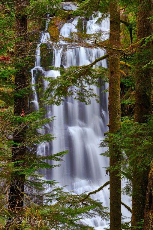 Waterfall for the Trees