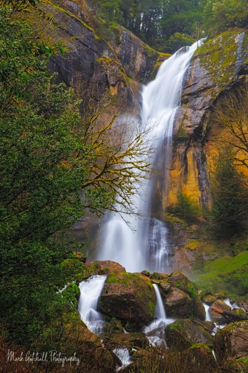 Early spring at Oregon's Silver Falls