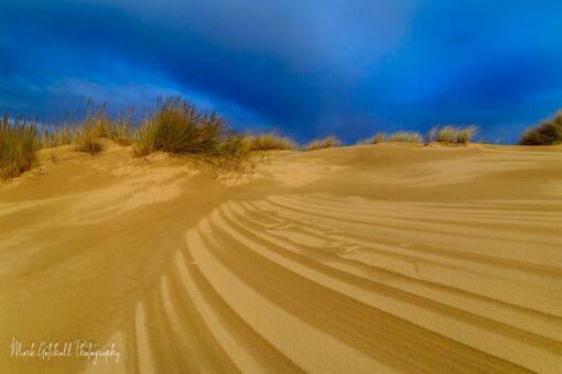 A spring rainstorm passes in the distance, while the sun lights up the golden dunes