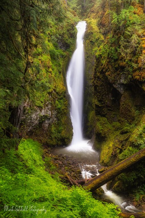 Misty Dreamy Waterfall in the Cascade Mountains