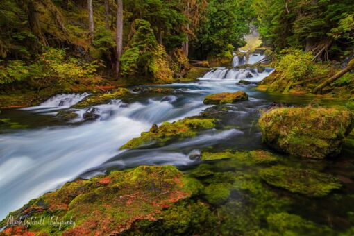 Portal to Sahalie Falls, on the upper McKenzie River Upper McKenzie River, late fall