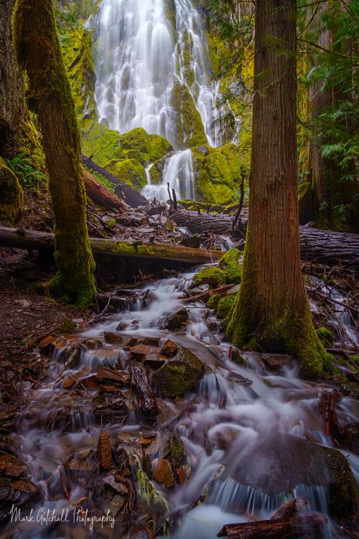 Picture of trees framing a waterfall in the forest