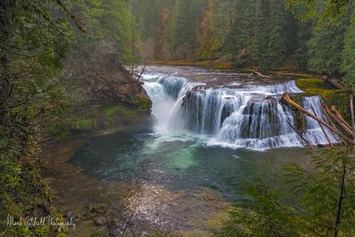 Image of Lower Lewis River Falls