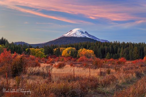 Autumn colors near Mt Adams