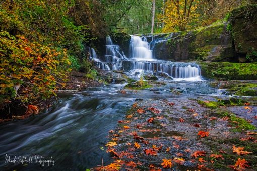 Photograph of Alsea Falls in autumn with maple leaves on the rocks
