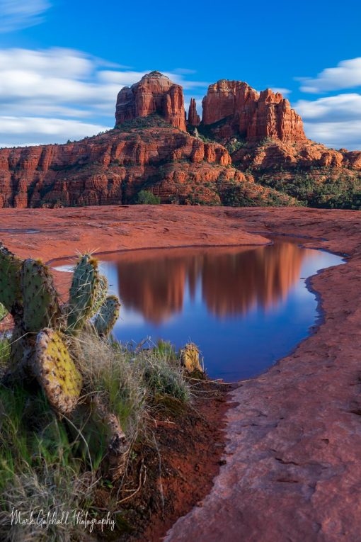 Cathedral Rock Reflection Cathedral Rock reflected in a small pool in the red rocks, at sunset.