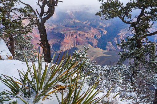 Grand Canyon Snow Line Snow on the rim of the Grand Canyon as a sun break lights up part of the canyon.