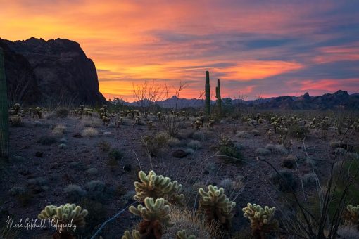 Kofa Sunrise Sunrise lights up the sky at Kofa Wildlife Refuge, Arizona
