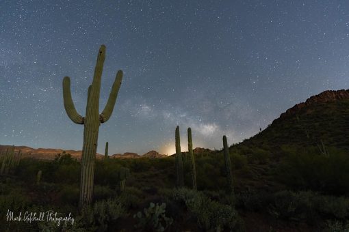 Milky Way Moonrise 2 Milky Way above a saguaro cactus as the moon rises on the horizon