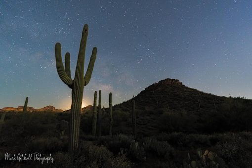 Milky Way Moonrise, Arizona Photo of the Milky Way over a saguaro with the moon rising on the horizon