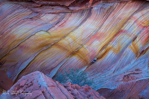 Rainbow Cove, South Coyote Buttes, Arizona 190 million-year-old Navajo Sandstone, with colorful patterns in the stone