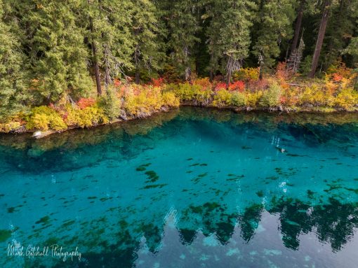 Vibrant autumn colors by a clear water lake