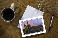 Desert Sunset, Arizona Greeting Card Desert Sunset, with Organ Pipe Cactus, Arizona Greeting Card
