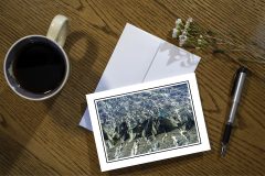 Fractured, Top of a Glacier, Alaska, Greeting Card Fractured, Top of a Glacier, Alaska, Greeting Card
