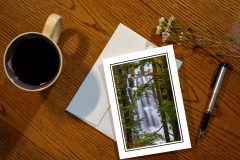 Greeting Card Display Waterfall For the Trees Greeting Card Display Waterfall For the Trees