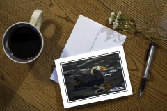 Turfted Puffin Greeting Card Tufted Puffin 5 x 7 Blank Greeting Card